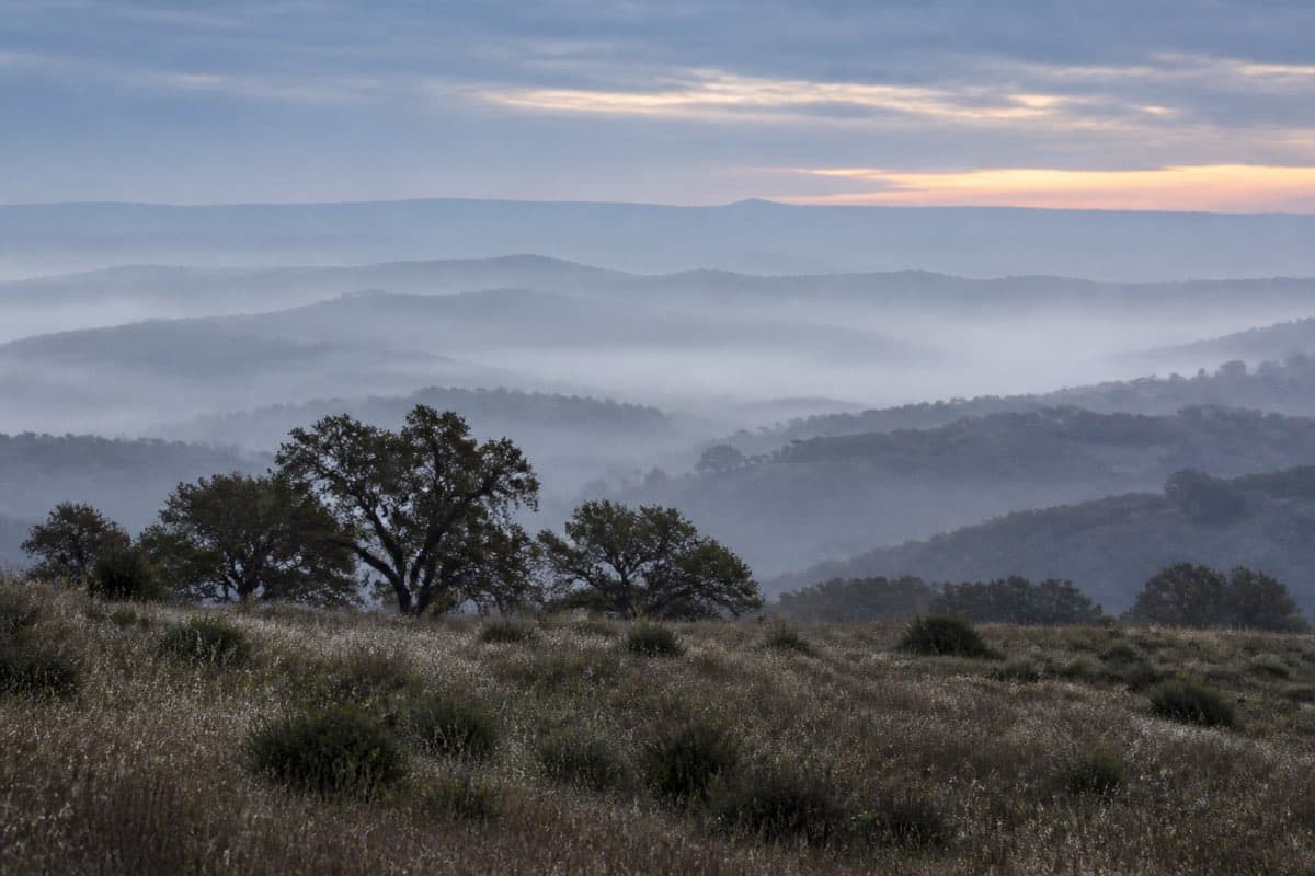 Morning fog lifting off layered Hill Country ridges, the nearest oaks in focus and the far hills still dissolved in haze.